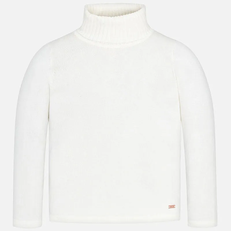 Natural Knit Turtleneck